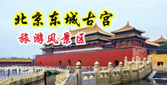 大鸡巴操B动漫中国北京-东城古宫旅游风景区